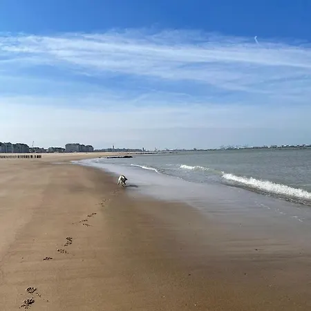 De Backer מלון 3*